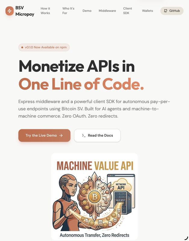 BSV Micropay Middleware project preview